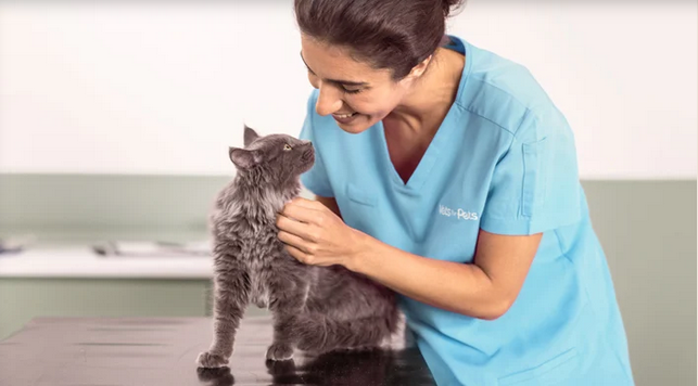 Vets4Pets