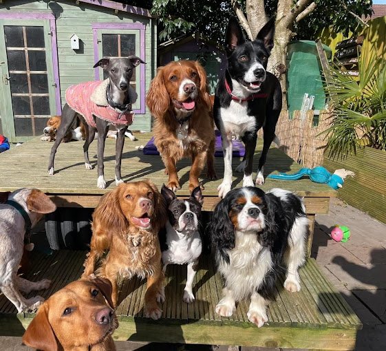 Muddy Paws Pet Services